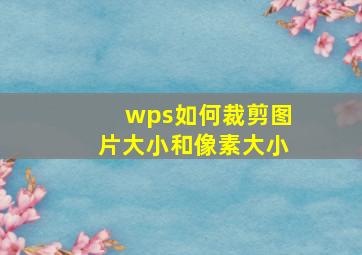 wps如何裁剪图片大小和像素大小