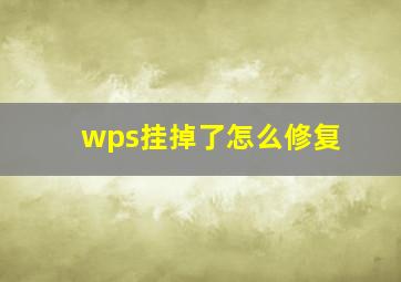 wps挂掉了怎么修复