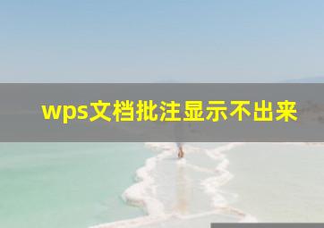 wps文档批注显示不出来