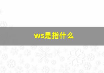 ws是指什么