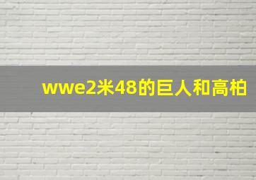 wwe2米48的巨人和高柏