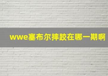 wwe塞布尔摔跤在哪一期啊