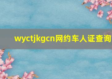 wyctjkgcn网约车人证查询