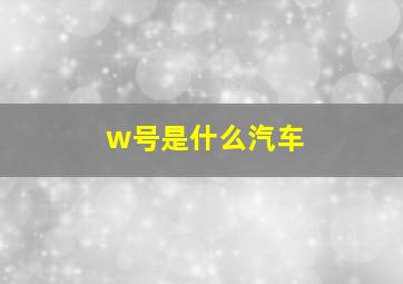 w号是什么汽车