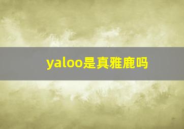 yaloo是真雅鹿吗