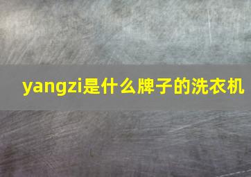 yangzi是什么牌子的洗衣机