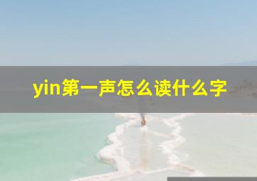 yin第一声怎么读什么字