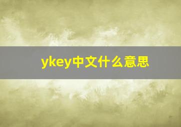 ykey中文什么意思