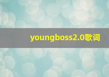 youngboss2.0歌词