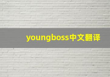 youngboss中文翻译