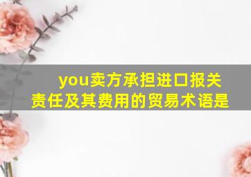 you卖方承担进口报关责任及其费用的贸易术语是