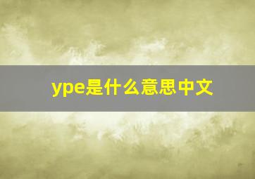 ype是什么意思中文