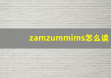 zamzummims怎么读