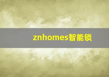 znhomes智能锁