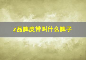 z品牌皮带叫什么牌子