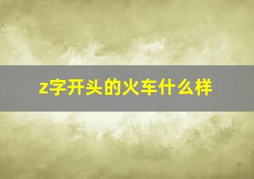 z字开头的火车什么样