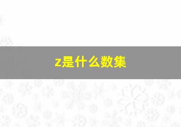 z是什么数集