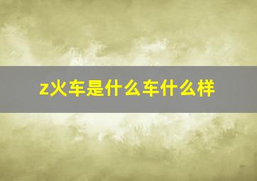 z火车是什么车什么样