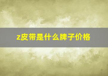 z皮带是什么牌子价格