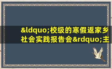 “校级的寒假返家乡社会实践报告会”主题团日活动