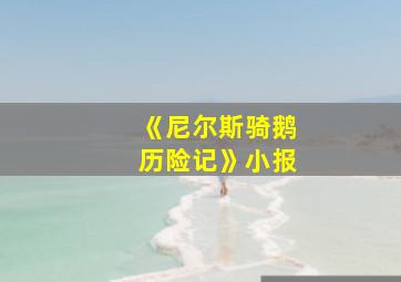 《尼尔斯骑鹅历险记》小报