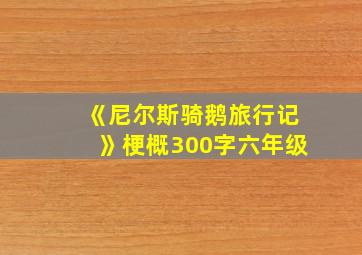 《尼尔斯骑鹅旅行记》梗概300字六年级