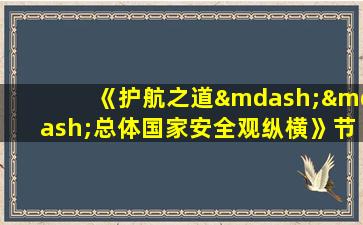 《护航之道——总体国家安全观纵横》节目回放