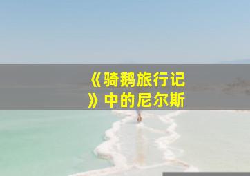 《骑鹅旅行记》中的尼尔斯