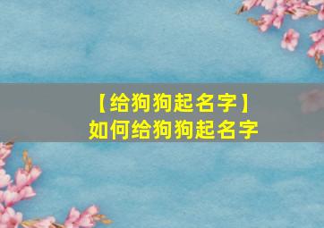 【给狗狗起名字】如何给狗狗起名字