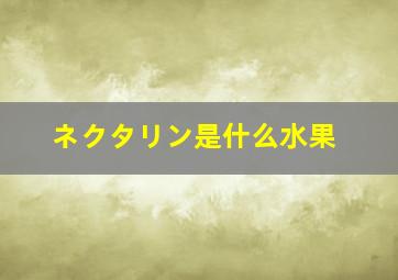 ネクタリン是什么水果