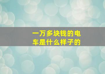 一万多块钱的电车是什么样子的