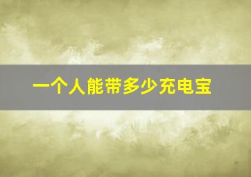 一个人能带多少充电宝