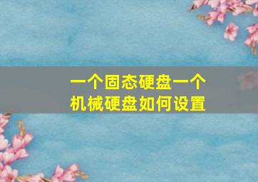 一个固态硬盘一个机械硬盘如何设置