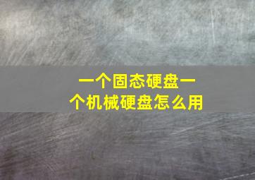 一个固态硬盘一个机械硬盘怎么用