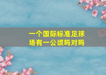 一个国际标准足球场有一公顷吗对吗