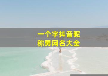 一个字抖音昵称男网名大全