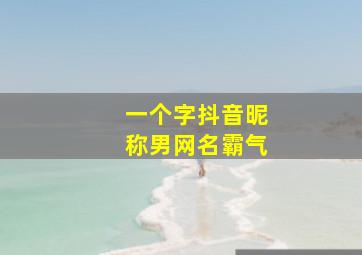 一个字抖音昵称男网名霸气