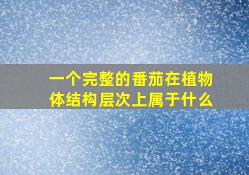 一个完整的番茄在植物体结构层次上属于什么