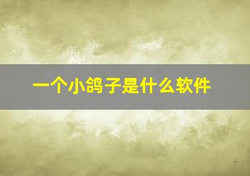 一个小鸽子是什么软件