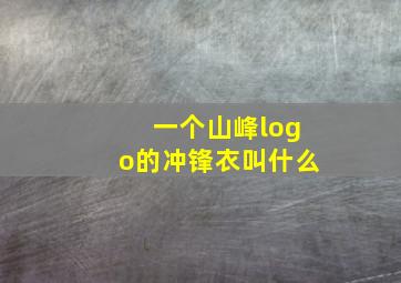 一个山峰logo的冲锋衣叫什么