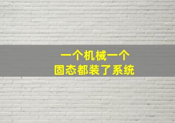 一个机械一个固态都装了系统