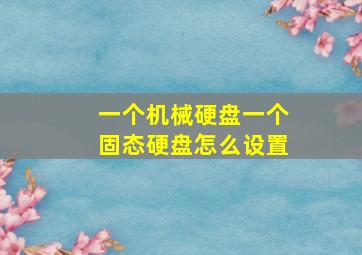 一个机械硬盘一个固态硬盘怎么设置