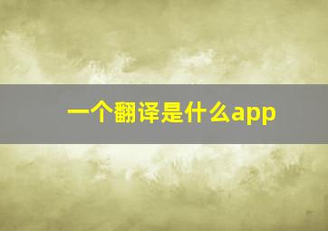 一个翻译是什么app