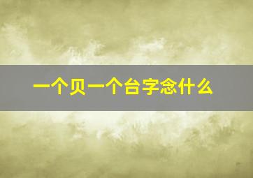 一个贝一个台字念什么