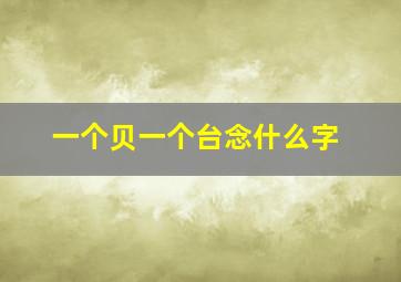 一个贝一个台念什么字