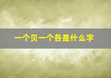 一个贝一个各是什么字