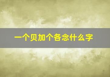 一个贝加个各念什么字