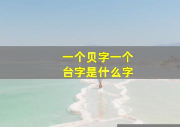 一个贝字一个台字是什么字