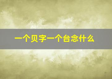 一个贝字一个台念什么