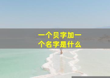 一个贝字加一个名字是什么